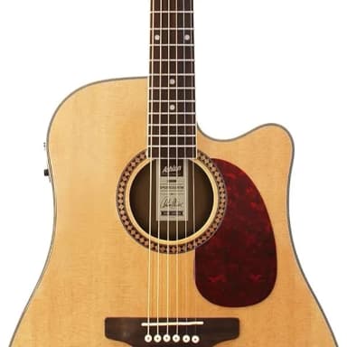 Ashton SPD25CEQ NT